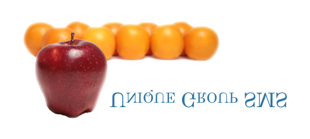 Unique Group SMS